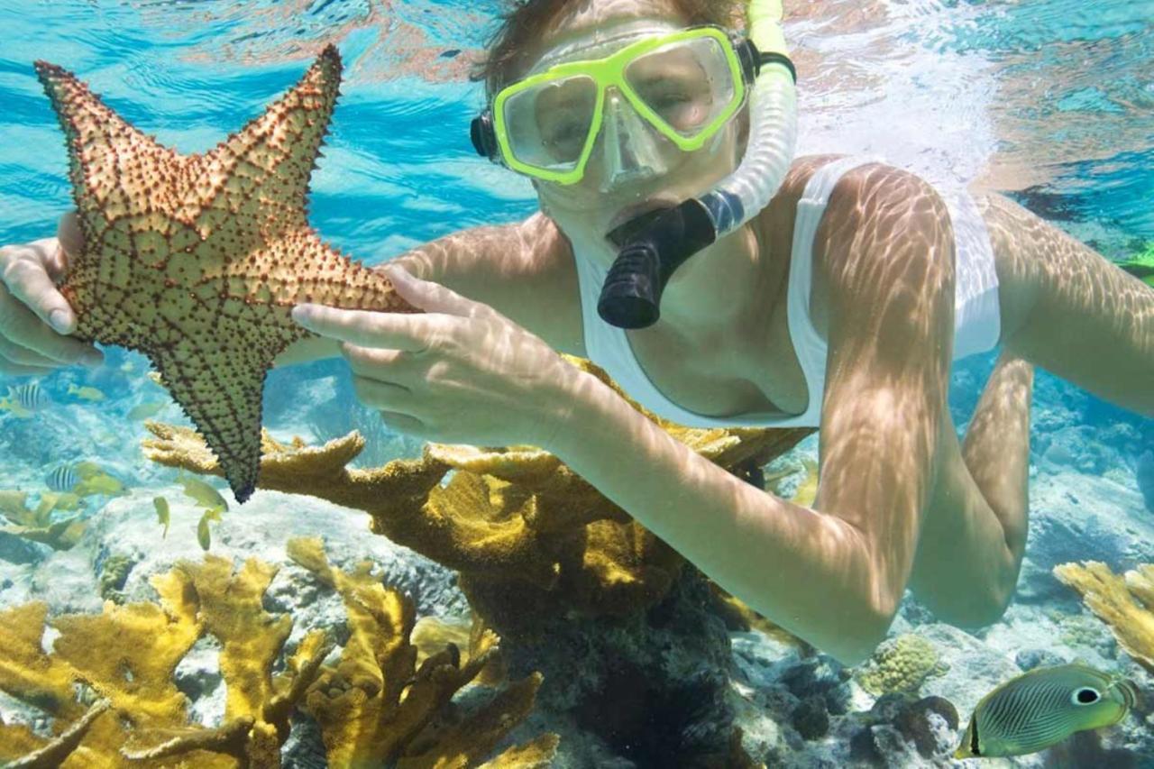 Nuri Boutique Hotel & Villas Msambweni エクステリア 写真